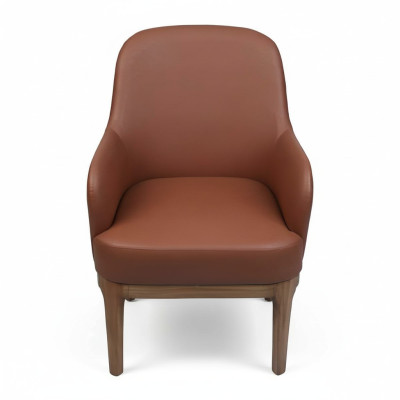 Bruine woonkamer fauteuil ontwerper single luxueuze fauteuil stoelen.