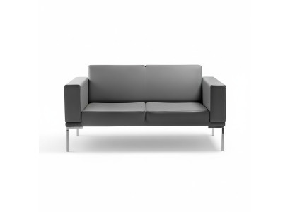 Grijze kantoorstijl 2-zits designerbank van kunstleer bankstellen 2-zits