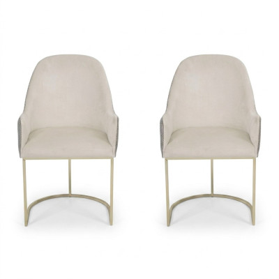 Gestoffeerde stoel 2x Stoelen Eetkamerstoel Hoogwaardige Keukenstoel Veelkleurig Modern