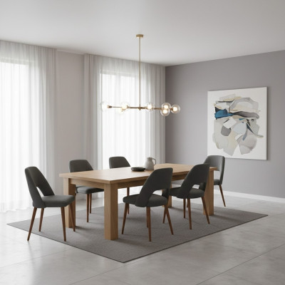 Stoelontwerper 6x stoelen Houten eetkamerstoel Luxe hout Nieuw meubilair Nieuw