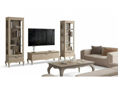Woonkamer rtv vitrine woonwand kasten design art deco vitrine set.  -> Woonkamer RTV vitrine woonwand kasten design art deco vitrine set.