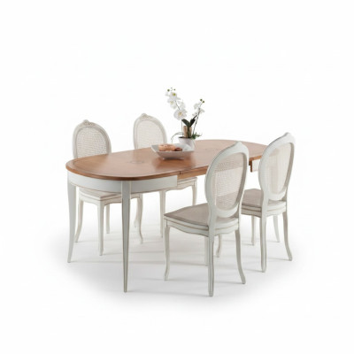 Italiaanse meubelontwerper houten tafel zitkussen eetkamer 4x stoelen