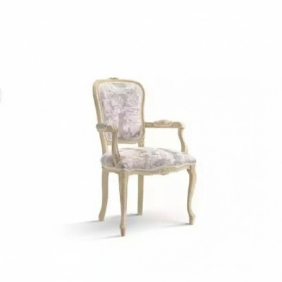 Fauteuil met armleuning Luxe stoel Woonkamer Eetkamer Fauteuil