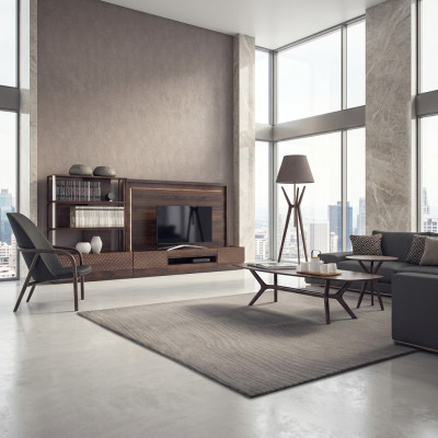 Luxe woonkamer wandmeubel tv-standaard houten meubels boekenplanken Nieuwe tv-frame
