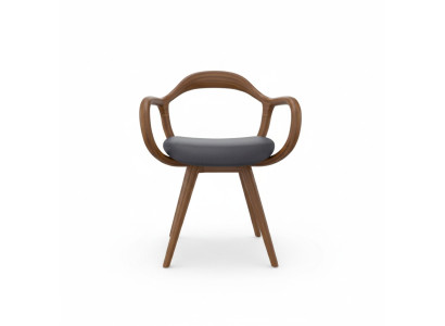 Stoelen Woonkamer Eetkamer Fauteuil Houten stoel met armleuning Eetkamer meubels