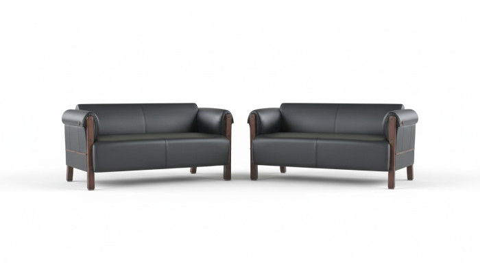 Bank Moderne Sofa-Set 2-Zitsbank Lederen Banken Zwart Hout Lederen Banken