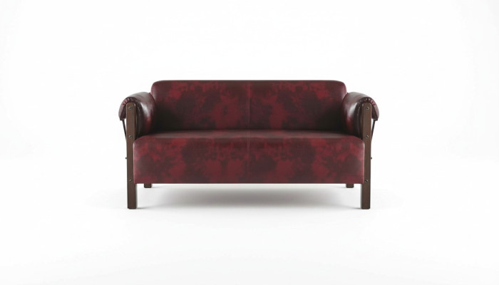 Bank Bordeaux Lederen Sofa 2-zitter Leder Hout Modern Sofa Armleuningen