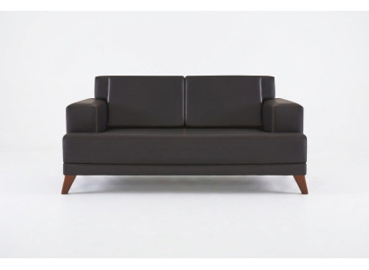 Bank Leren 2-Zits Sofa Zwart Effen Modern Design Leren Bank Hout
