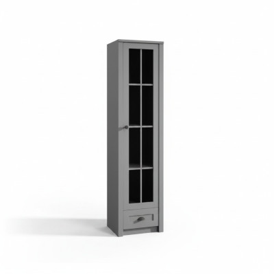 Moderne en elegante grijze vitrinekast