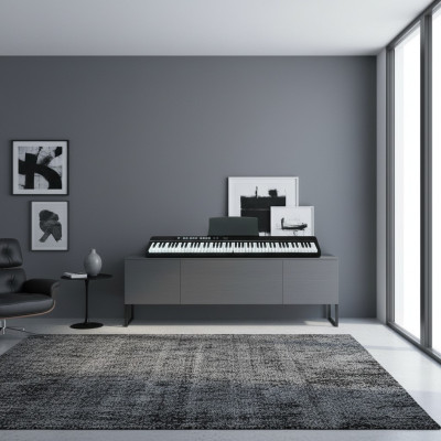 Draagbare digitale piano met 88 toetsen: Bluetooth, app-verbinding en microfoonverbinding