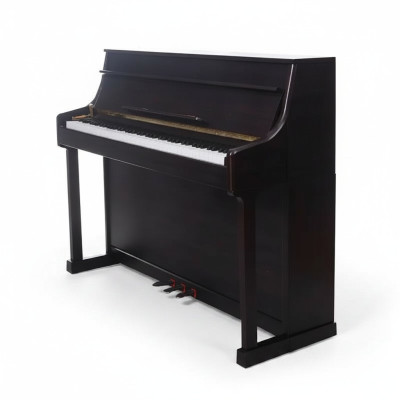 Zwarte digitale piano, geweldige leerervaring