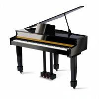 Piano’s & Vleugels
