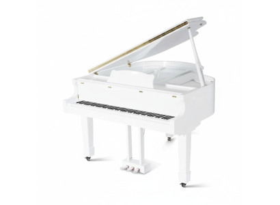 Glanzende zwarte piano