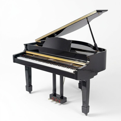 Digitale piano Mustat