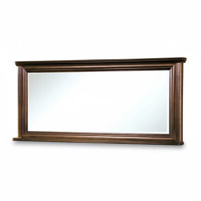 Klassieke ontwerper Echte houten frame XXL spiegel 157x71 spiegel - Model W-L1