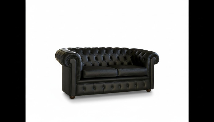 Chesterfield Sofa Bank Beklede Banken Klassieke 2-zits Zitbank Leer Schaffhaus